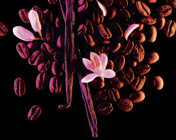 Yves Saint Laurent Black Opium Eau de Parfum Spray 30ml