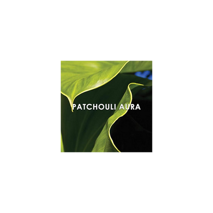 Britney Spears Believe Eau de Parfum Spray 30ml